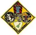 ATG-181 insignia