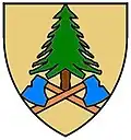 Coat of arms of Bärnkopf