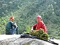 A Himachali couple selling Lingaru – a naturally grown vegetable in mountain