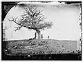 A Lonely Grave, Union Soldiers grave.[18]