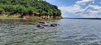 Kazinga Channel linking Lake George and Lake Edward