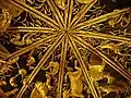A carved ceiling representing the signs of the Zodiac