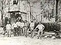 Vertical boilered steam engine on Kaituna Valley tramway 1868-1880