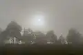 Fog obscures sunlight and vision on Obudu Plateau