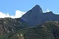 The Wedge