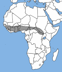Map of range