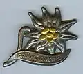 1963 German mountain sport pin.