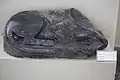 Achaemenid era Lion statue without its head