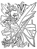 Trailing white monkshood (A.&nbsp;reclinatum)