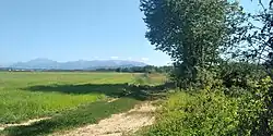 View of Bernareggio