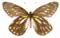Aid_to_the_identification_of_insects_(Plate_12)_(6025815459)_Thyca_berinda