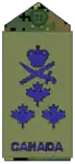 CADPAT uniform