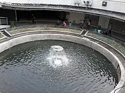 Halte Kota fountain