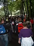 Offroad track