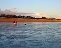Bognor Reef