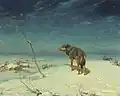 Lone Wolf