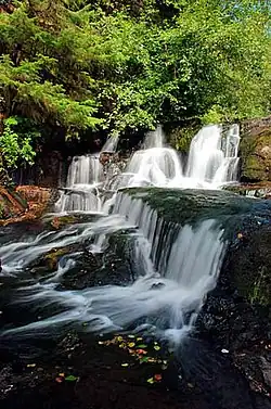 Photo of the falls