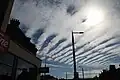 Altocumulus translucidus
