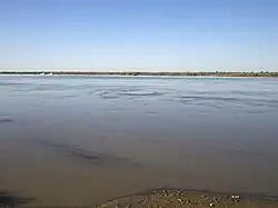 The right bank of Amu Darya in Beruniy District