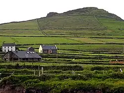 An Bhinn Mheanach