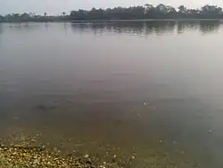 The Cross River