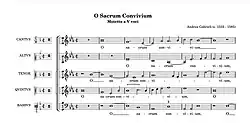 musical score