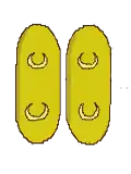 Valvular dehiscence of a pair of anthers