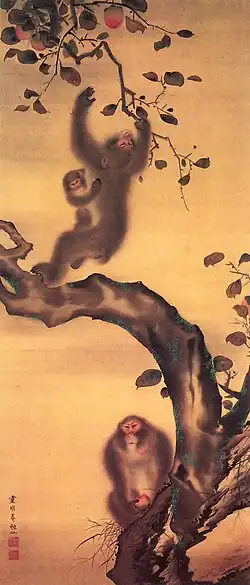 Apes in a persimmon-tree