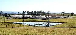 Inghams Broilers factory farm