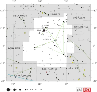 Aquila