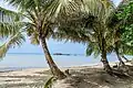 Providencia Island (Lepers Island)