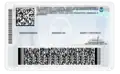 Back of the redesign of the driver's license