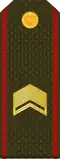ԱՎԱԳ Avag (Armenian Ground Forces)[9]