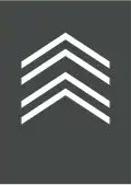 Eerste sergeant (Belgian Land Component)[16]
