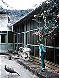 in 1967