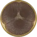 Aspergillus uvarum growing on MEAOX plate