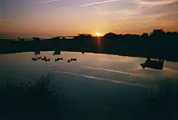 Avernakø
