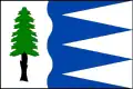 Flag of Bílá