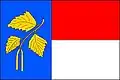 Flag of Březnice