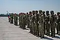 Slovakian soldier in ceremonial line-up