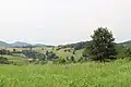 Bačevci - panorama