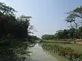 Banar River at Kashiganj, Trishal