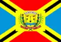 Flag of Anaurilândia