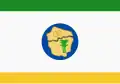 City Flag