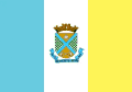 Flag of Benedito Novo