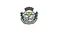 Flag of São João da Mata