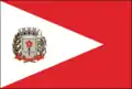 Flag of Santa Rita d'Oeste