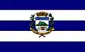 Flag of Vista Alegre do Alto