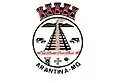 Flag of Arantina