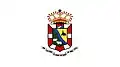 Flag of Cruz Alta